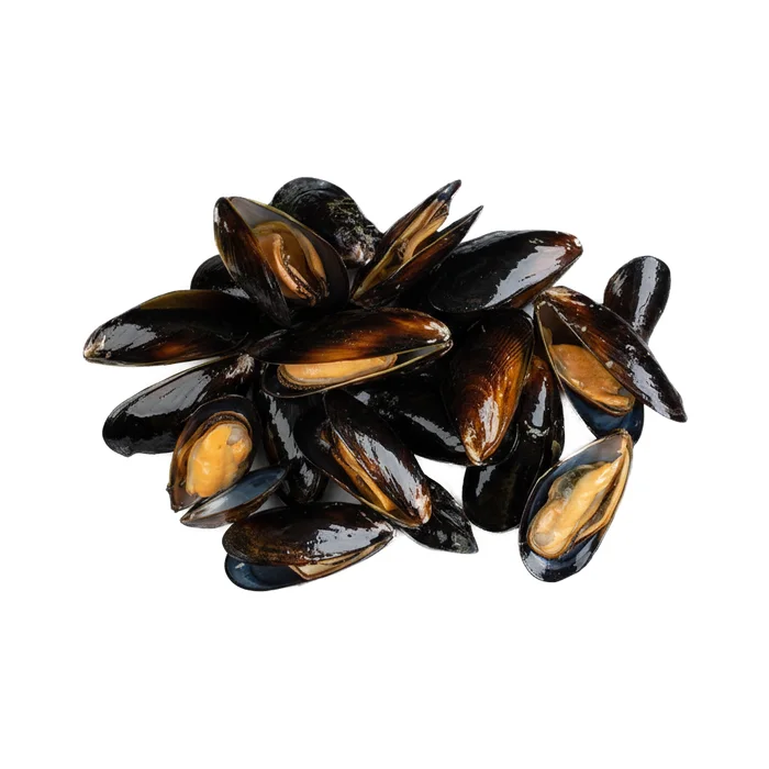 Mejillones Fullycook Premium 1 kg congelado mayoreo